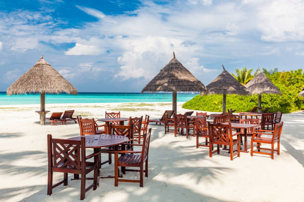 istock Tropical beach in Maldives with palm trees and vibrant lagoon 1284533027