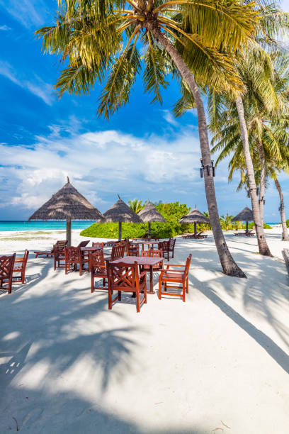 istock Tropical beach in Maldives with palm trees and vibrant lagoon 1284533100