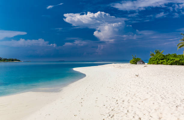 istock Tropical beach in Maldives with palm trees and vibrant lagoon 1284534207