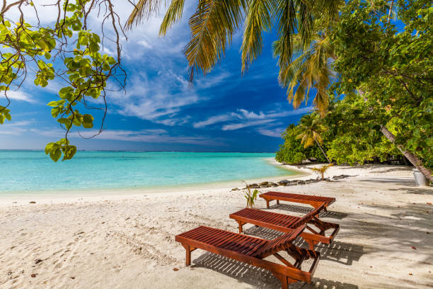 istock Tropical beach in Maldives with palm trees and vibrant lagoon 1284534346