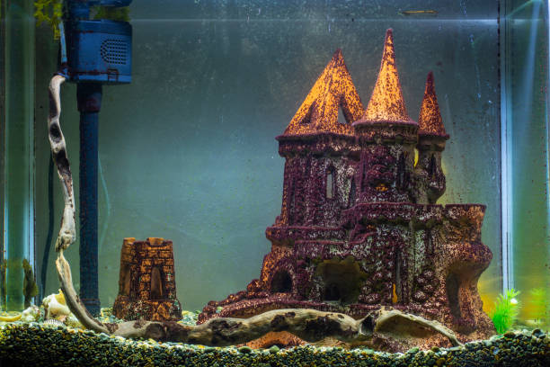 istock Empty aquarium without plants, affected by black algae and plaque on the scenery 1284535213