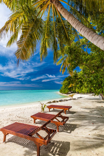 istock Tropical beach in Maldives with palm trees and vibrant lagoon 1284535405