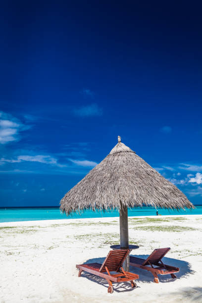 istock White sandy beach in Maldives with amazing blue lagoon 1284535667