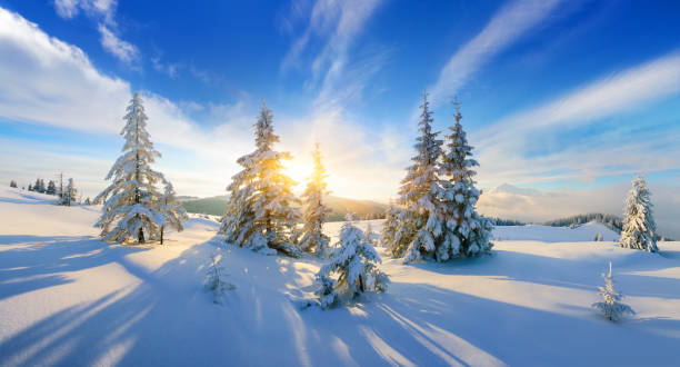 istock Winter landscape with fir trees in the snow 1284536250