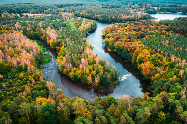 Stunning view of colorful forest and turning river in autumn Stunning view of colorful forest and turning river in autumn, Poland bory tucholskie stock pictures, royalty-free photos & images
