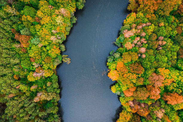 istock Top down view of big river and colorful forest 1284536344