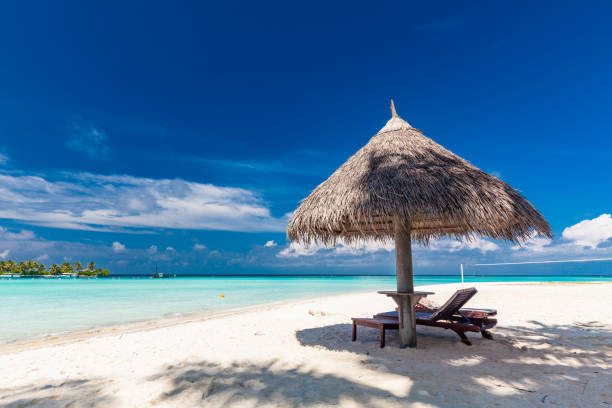 istock White sandy beach in Maldives with amazing blue lagoon 1284536355