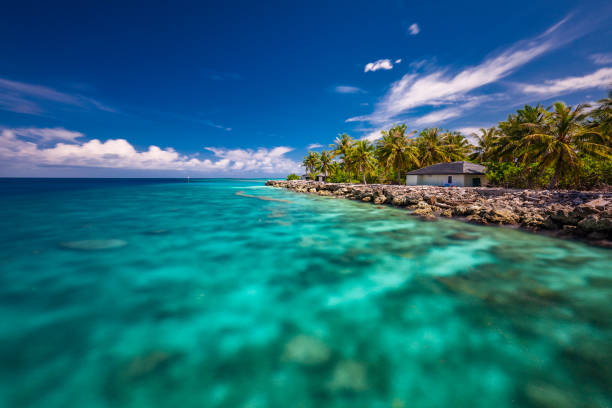 istock Tropical beach in Maldives with palm trees and vibrant lagoon 1284536564
