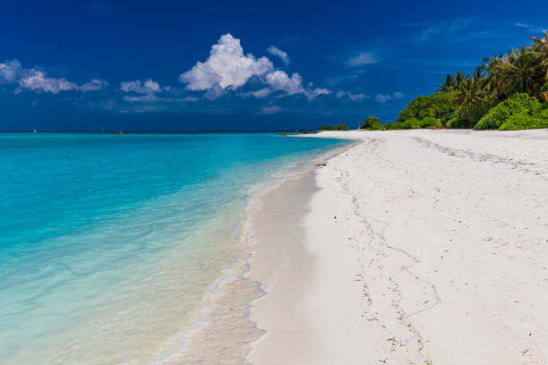 istock Tropical beach in Maldives with palm trees and vibrant lagoon 1284536828