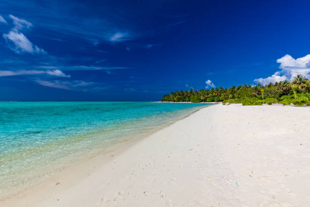 istock White sandy beach in Maldives with amazing blue lagoon 1284536853