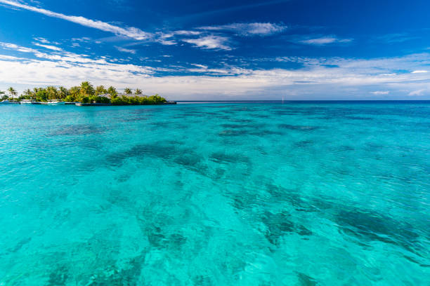 istock White sandy beach in Maldives with amazing blue lagoon 1284537727