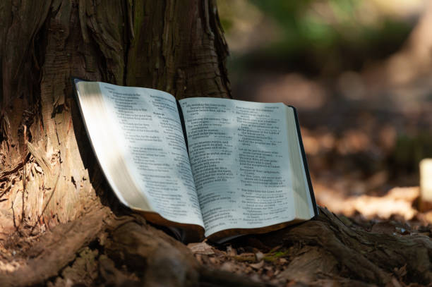 istock Holy Bible open in Psalm 95 to Psalm 97 outdoors on the tree trunk and sunlight. Blurred background. Copy space 1284538801