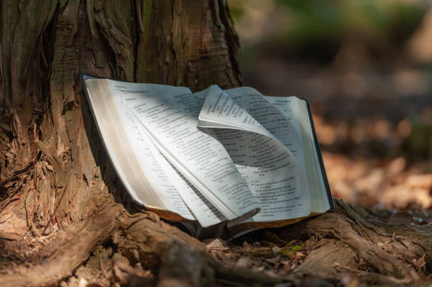 istock Holy Bible outdoors on tree trunk with pages turning in wind and sunlight. Blurred background with copy space. Close-up 1284538804