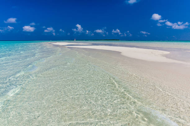 istock White sandy beach in Maldives with amazing blue lagoon 1284539232