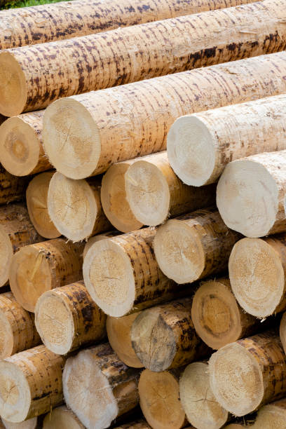 istock woodworking industry in Alps, Italy 1284539427
