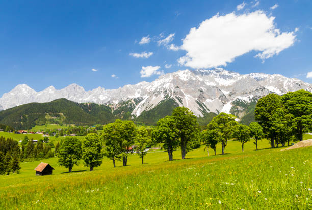 istock Dachstein and landscape near Ramsau, Austria 1284539478