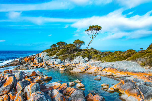 istock Bay of Fires, Tasmania, Australia 1284540394