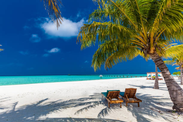 istock Tropical beach in Maldives with palm trees and vibrant lagoon 1284540601
