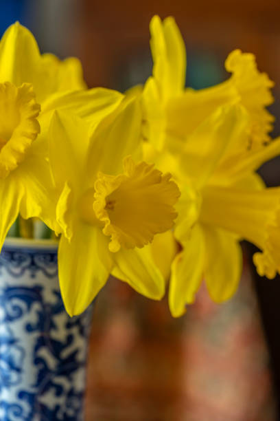 istock daffodil  flower in arrangement 1284540652