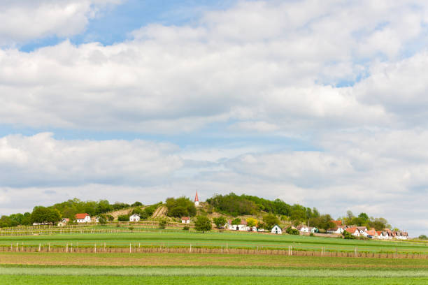 istock Wine route at Galgenberg in Weinviertel, Austria 1284542004