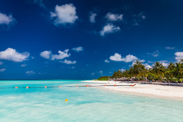 istock White sandy beach in Maldives with amazing blue lagoon 1284542098