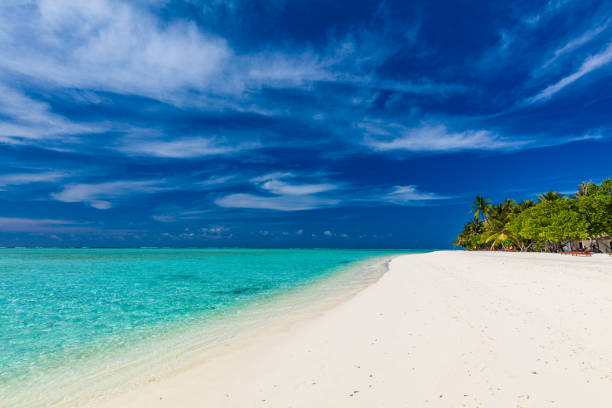 istock White sandy beach in Maldives with amazing blue lagoon 1284542206