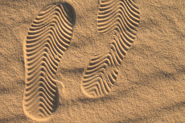 Footprints left behind in wet sand on a beach