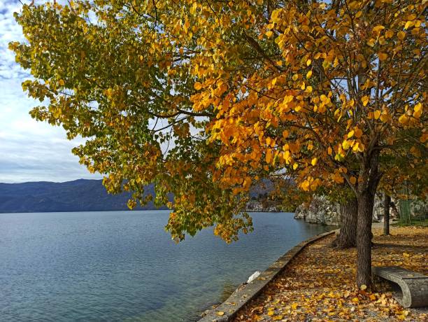 istock Autumn in the lake Krupac 1284544578