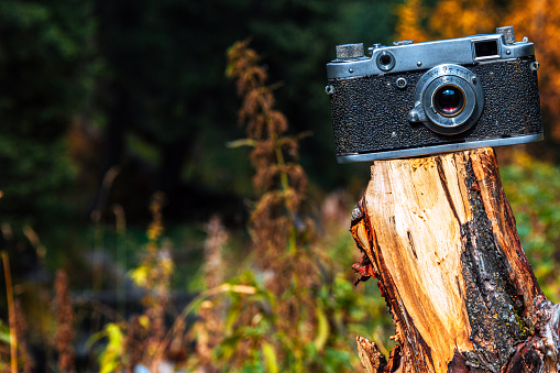 Vintage photo camera on the natural background. Beautiful retro and autumn tone