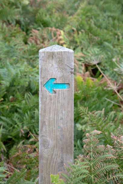 istock Trekking Arrow Sign; Loredo; Santander 1284547409