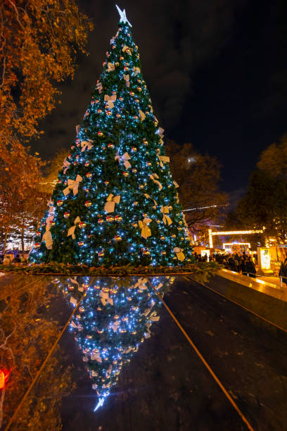 istock Christmas tree in Vienna, Austria 1284551824