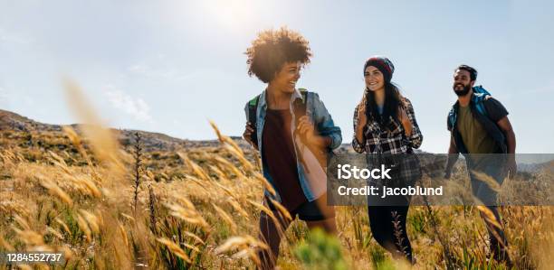 Friends Hiking In Countryside Stock Photo - Download Image Now - Hiking, Friendship, Walking