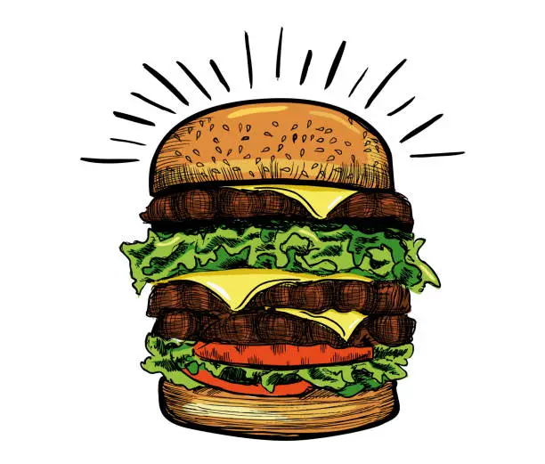 Vector illustration of Vector hand drawn burger on white background