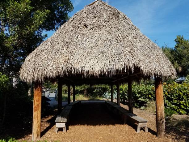 istock structure or building with grass roof and wood benches 1284559350