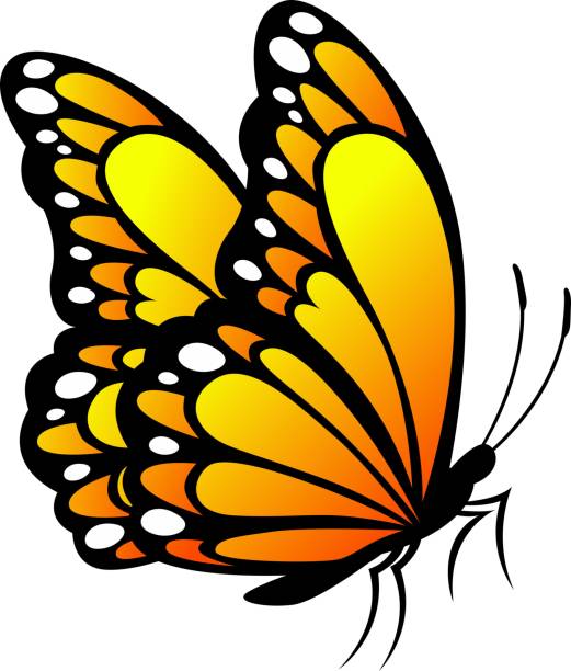 Butterfly Stock Illustration - Download Image Now - Monarch Butterfly,  Butterfly - Insect, Cartoon - iStock