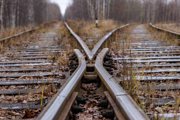 Railway. Crossroads rail. Close-up. Two directions.