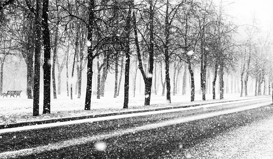 The road and highways are covered with snow. Lots of big snowflakes. Poor visibility on the road due to heavy snowfall.