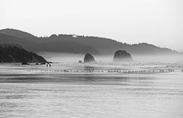 istock Cannon Beach at Dawn in Black and White 1284566734