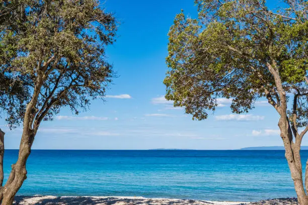 Photo of Adriatic Sea on sunny summer day. Croatia, island of Pag.