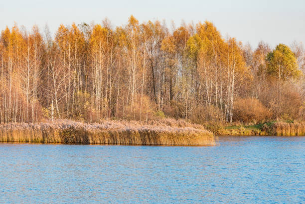 istock Autumn forest by the lake. 1284569902
