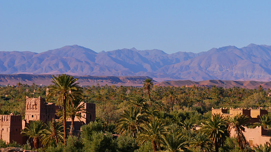 Beautiful panorama view of a fertile green oasis with date palm trees and historic Moorish loam buildings in a valley near Skoura, Morocco, Africa with the foothills of southern Atlas Mountains.