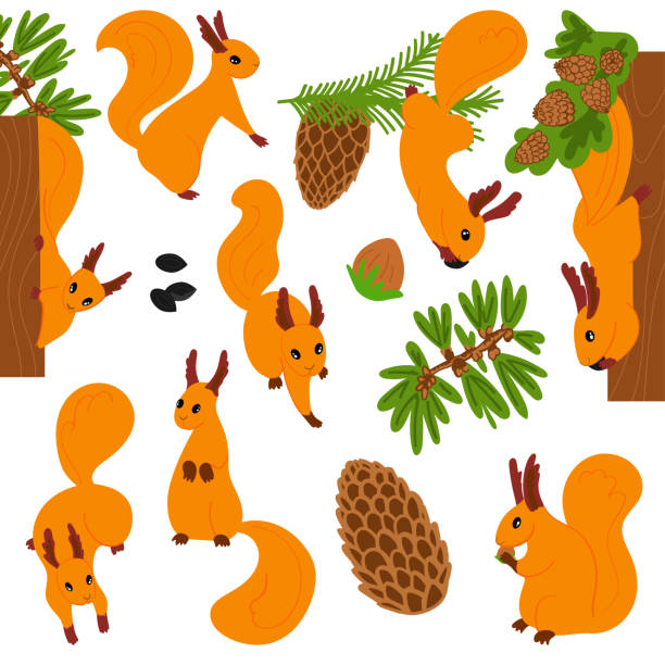 Set of cute cartoon furry funny squirrels. Set of cute cartoon funny squirrels. Vector isolated. Bright colored elements. Spruce and fir branch, cone, hazelnut, seeds. Different poses of furry orange animals. Simple shapes and forms. sleeping squirrel stock illustrations