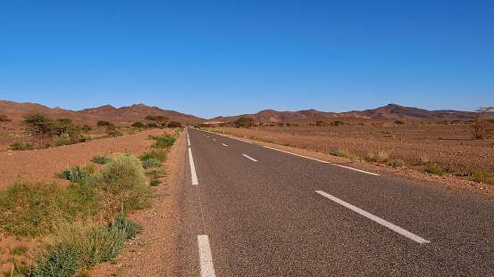 Lonely paved country road leading through the barren desert landscape in southern Morocco, Africa with sparse vegetation (bushes and trees) and mountains on the horizon on a sunny day with blue sky.