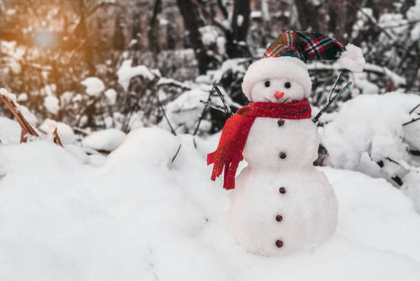 Snowman with cap and scarf