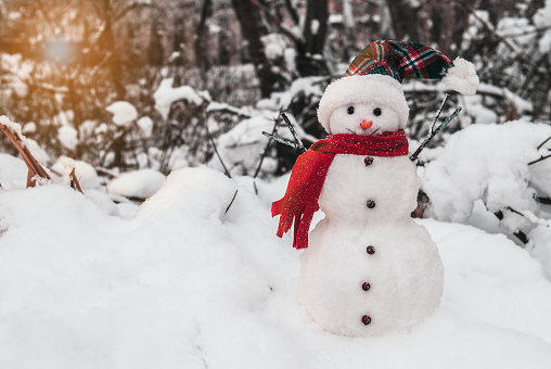 Snowman with cap and scarf in snowdrifts