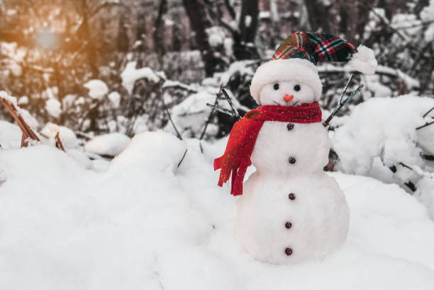 Snowman with cap and scarf Snowman with cap and scarf in snowdrifts snowman stock pictures, royalty-free photos & images