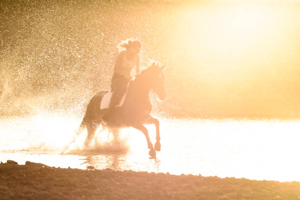 une fille monte un cheval dans l’eau le long de la rive de fleuve dans les rayons du coucher du soleil - running horses photos et images de collection