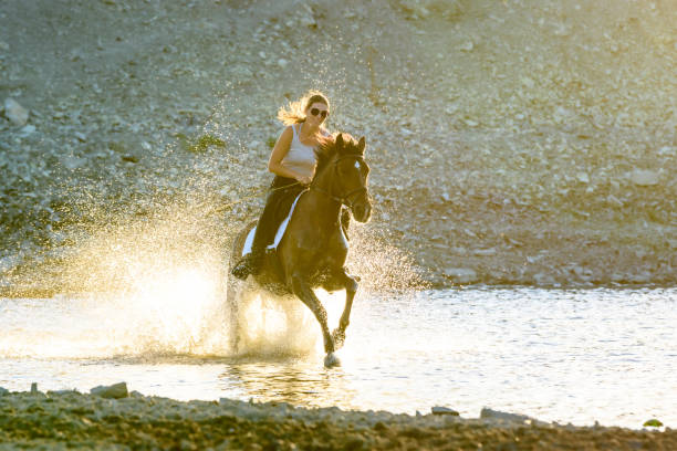 une fille monte un cheval le soir dans l’eau le long de la rive de fleuve - running horses photos et images de collection