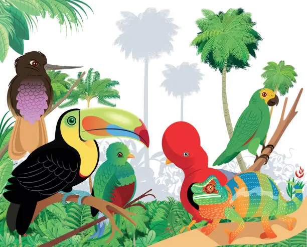 Vector illustration of Tropical Forest and Birds