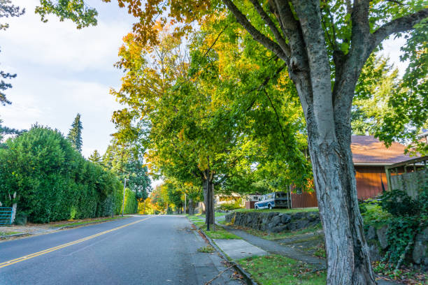 istock Burien Street In Autumn 1284588510